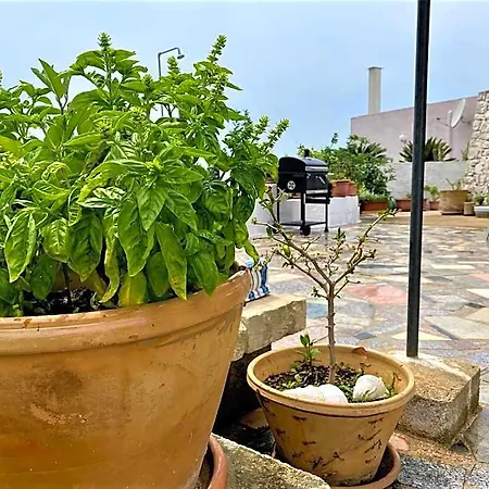 Hotel Pajara Alle Macchie 4*