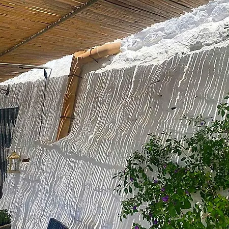 Pajara Alle Macchie 4*