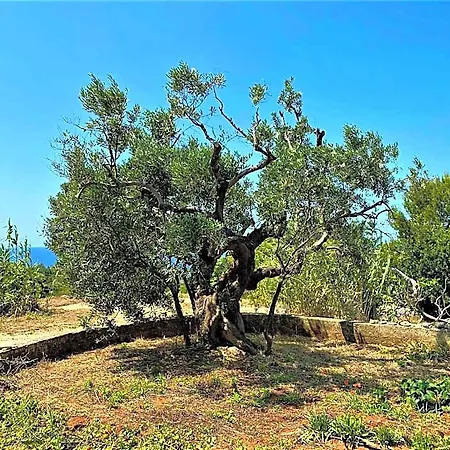 Hotel Pajara Alle Macchie Torre Vado