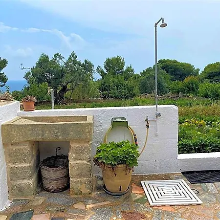 Pajara Alle Macchie