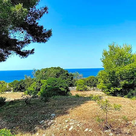 Pajara Alle Macchie 4* Torre Vado